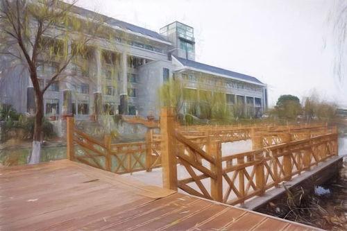 小桥吃瓜娱乐,揭秘娱乐圈幕后故事
