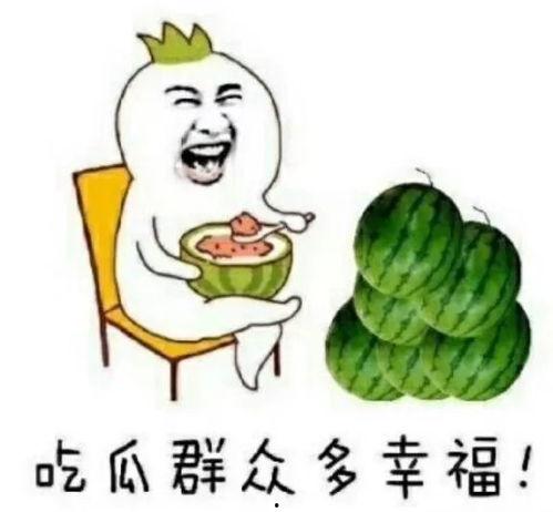 娱乐吃瓜在哪看,盘点各大平台热门八卦资讯汇总