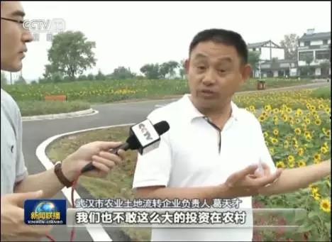 吃瓜新闻播报