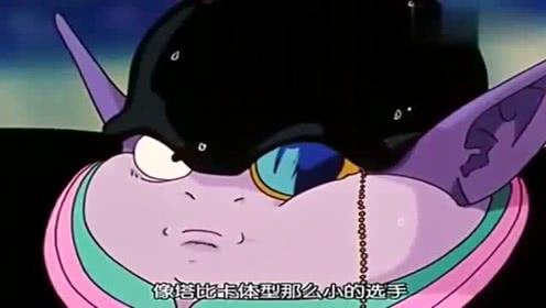 娱乐吃瓜喵喵