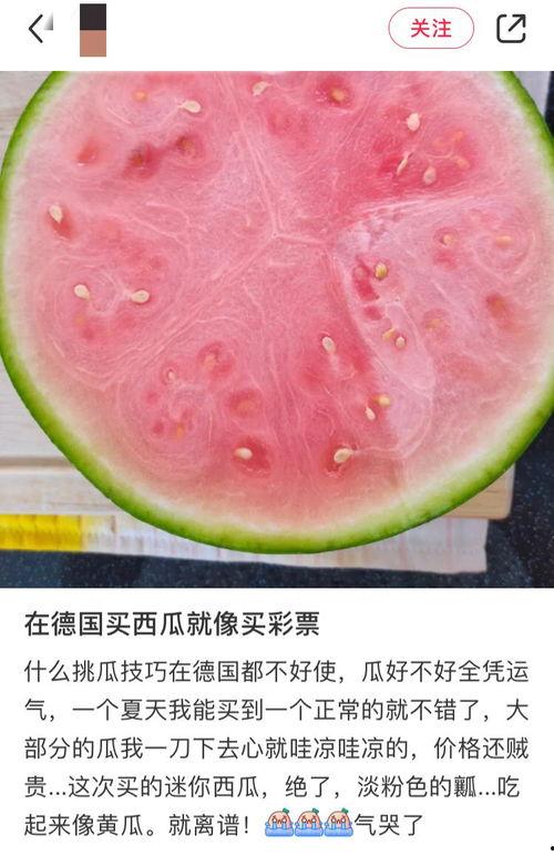 吃瓜网免费官网全球,全球热点一网打尽,畅享无界限的娱乐盛宴